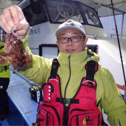 ヤザワ渡船 釣果