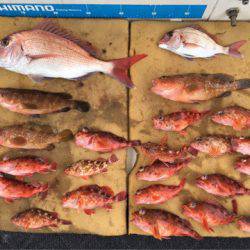 末広丸(熊本) 釣果