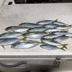 Monster Rush! 釣果