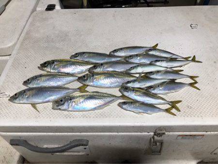 Monster Rush! 釣果