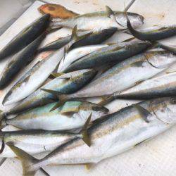 海楽隊 華栞丸 釣果