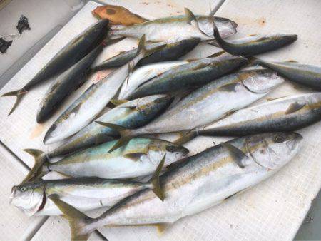 海楽隊 華栞丸 釣果