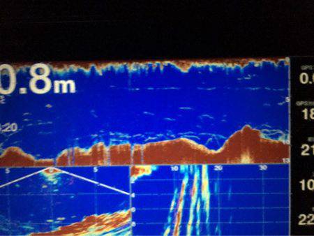 Chase（チェイス） 釣果