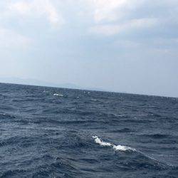 ＴＡＲＯＭＡＲＵ 釣果