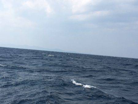 ＴＡＲＯＭＡＲＵ 釣果