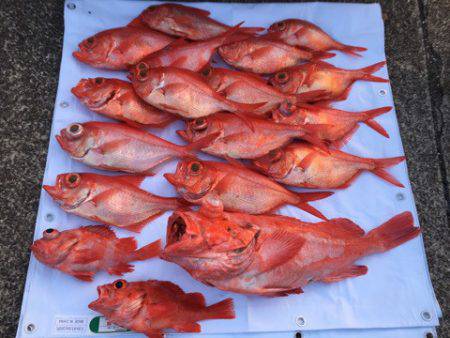 ＴＡＲＯＭＡＲＵ 釣果