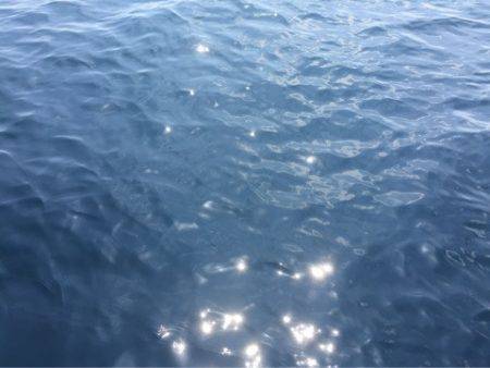 第二 海洋丸 釣果