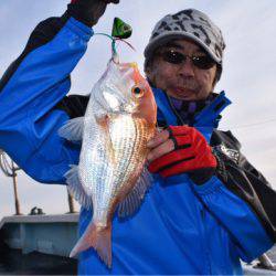 渡船屋たにぐち 釣果