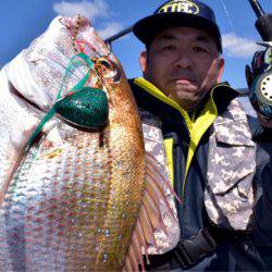 渡船屋たにぐち 釣果