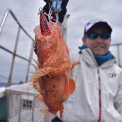 渡船屋たにぐち 釣果