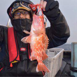 渡船屋たにぐち 釣果