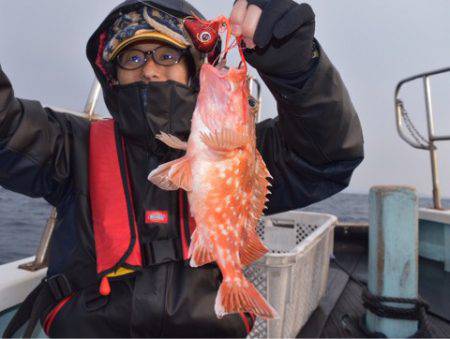 渡船屋たにぐち 釣果
