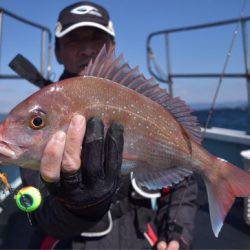 渡船屋たにぐち 釣果