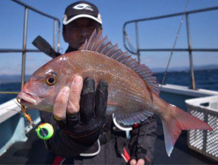 渡船屋たにぐち 釣果
