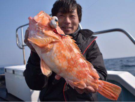 渡船屋たにぐち 釣果