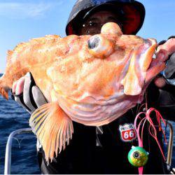 渡船屋たにぐち 釣果