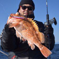 渡船屋たにぐち 釣果