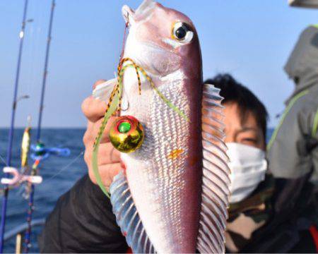 渡船屋たにぐち 釣果
