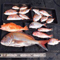 渡船屋たにぐち 釣果