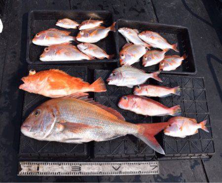 渡船屋たにぐち 釣果