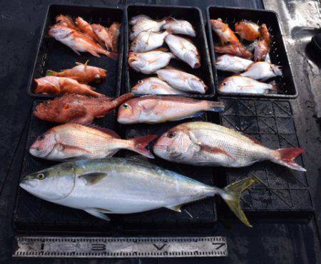 渡船屋たにぐち 釣果