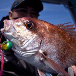 渡船屋たにぐち 釣果