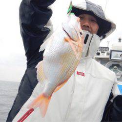 渡船屋たにぐち 釣果