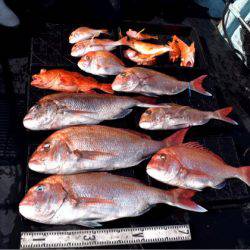 渡船屋たにぐち 釣果