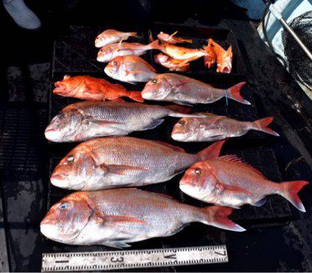 渡船屋たにぐち 釣果