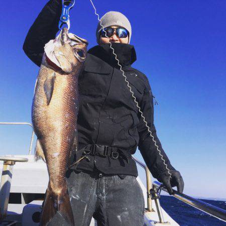 ＴＡＲＯＭＡＲＵ 釣果