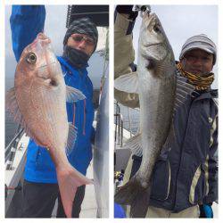 ビッグファイター 釣果