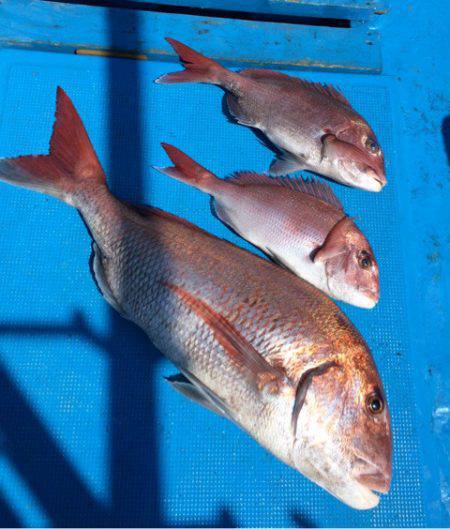 太平丸 釣果