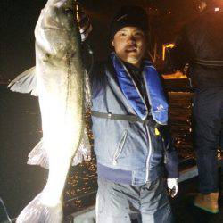 SeaRide(シーライド) 釣果