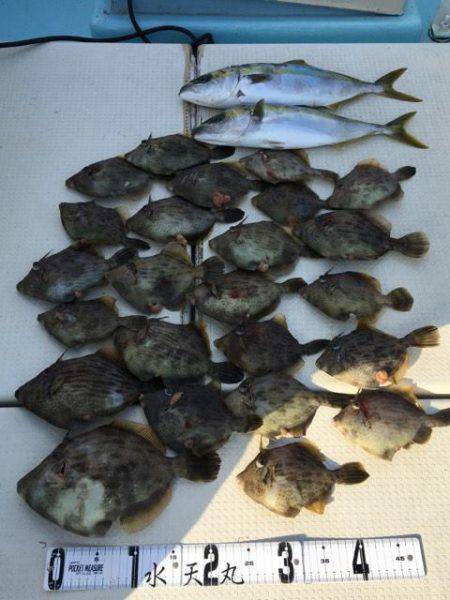 水天丸 釣果