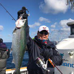 シーランチ 釣果