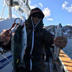 シーランチ 釣果