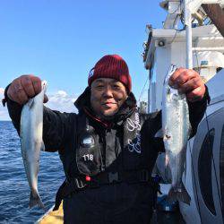 シーランチ 釣果