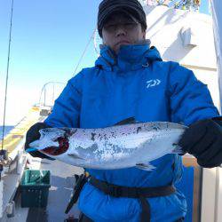 シーランチ 釣果