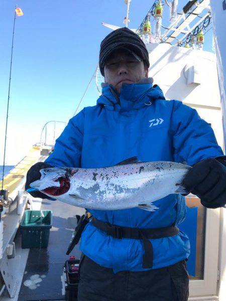 シーランチ 釣果