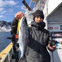 シーランチ 釣果