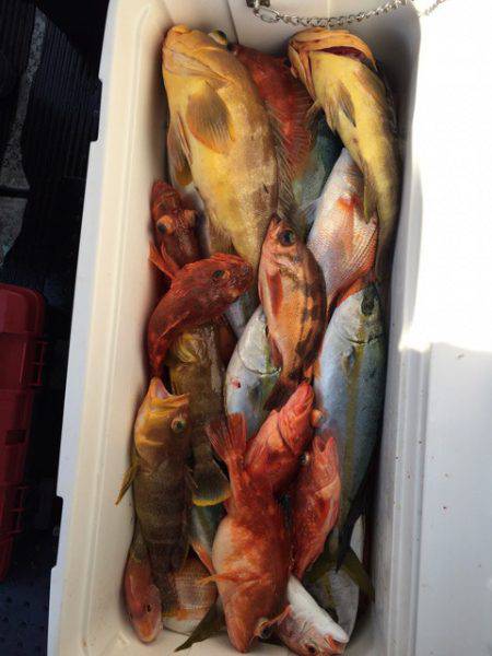 第二龍勢丸 釣果