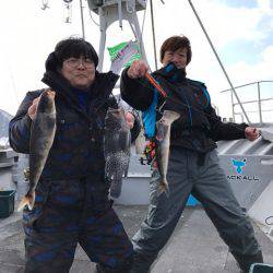 シーランチ 釣果