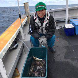 シーランチ 釣果