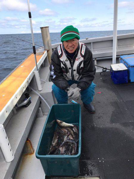 シーランチ 釣果