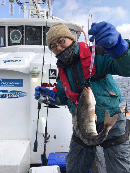 シーランチ 釣果