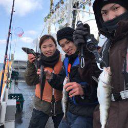 シーランチ 釣果