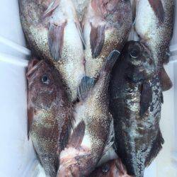 第二龍勢丸 釣果