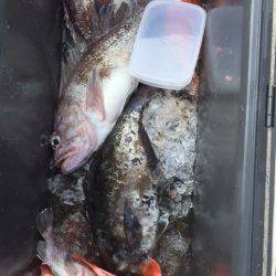 第二龍勢丸 釣果