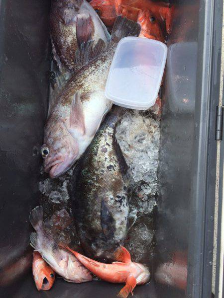 第二龍勢丸 釣果