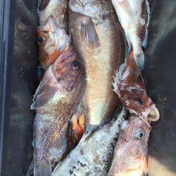 第二龍勢丸 釣果